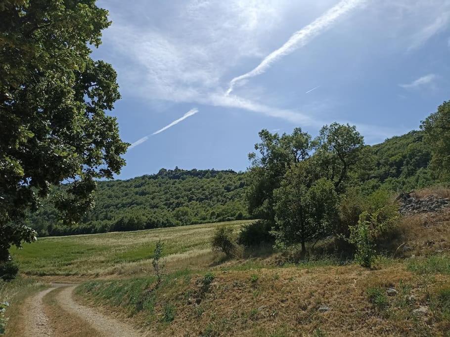 Gite Avec Piscine "La Maison De Valentine" En Provence Montsalier Eksteriør billede