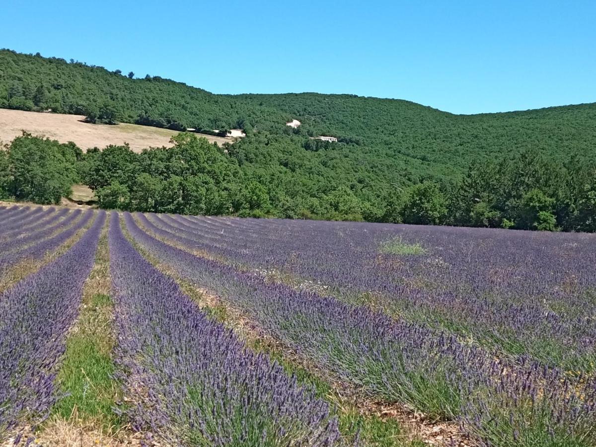 Gite Avec Piscine "La Maison De Valentine" En Provence Montsalier Eksteriør billede